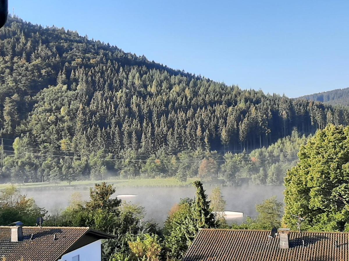 Ferienwohnung Zeitlos, Gigantischer Seeblick, Wlan, Gerne Mit Hund Winterberg Exterior foto