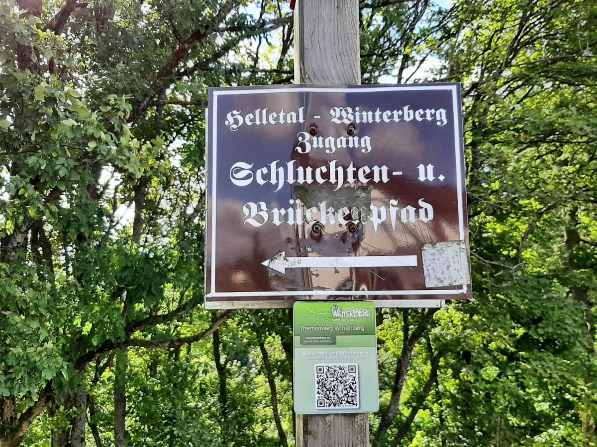 Ferienwohnung Zeitlos, Gigantischer Seeblick, Kamin, Wlan, Gerne Mit Hund Winterberg Exterior foto